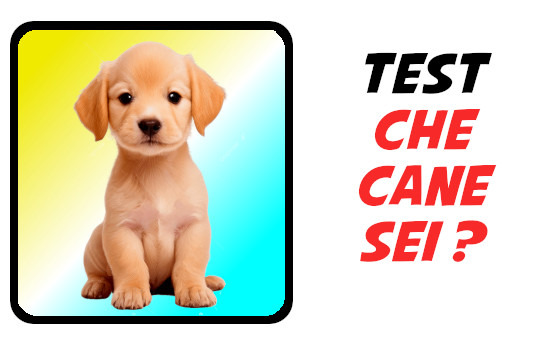 Quiz : Che Cane Sei : 20 Domande sulla tua Personalità